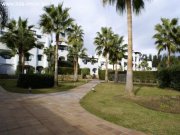 Sotogrande hda-immo.eu: 3SZ Apartment in Sotogrande, neben dem Tennis Polo Wohnung kaufen