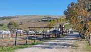 Jimena de la Frontera Andalusien, Sotogrande - Finca mit Pferdeboxen zu verkaufen Haus kaufen