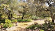 Arcos de la Frontera Andalusien, Arcos de la Frontera - Landhaus, Pool, Gästehaus auf 13 ha Grund zu verkaufen Haus kaufen