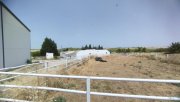 Bornos Andalusien, Provinz Cadiz, Bornos - Finca mit viel Land + Potential Haus kaufen