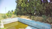 Bornos Andalusien, Provinz Cadiz, Bornos - Finca mit viel Land + Potential Haus kaufen