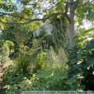 Berlin Nur 50 Minuten von Berlin *** Kleines Häuschen im Spreewald mit Nebengebäude *** Haus kaufen