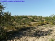 Torreblanca von privat: Finca in absoluter Ruhiglage, mit traumhaftem Meerblick an der Costa del Azahar Grundstück kaufen