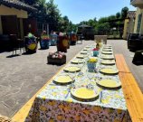 San Damiano Schönes 14 Zimmer Landhaus im Langhe/Monferrato mit Salzwasser Pool & Whirlpool Haus kaufen