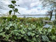 Brandenburg an der Havel Wassergrundstück mit positiver Bauvoranfrage am Wusterwitzer See! Grundstück kaufen