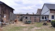 Belzig Vermietetes Bauernhaus mit großem Grundstück Haus kaufen