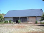 Niederer Fläming bezugsfreier 3-Seiten-Pferde-Hof mit großer Fläche und Sonnen-Grundstück im schönen Niederer Fläming Haus kaufen