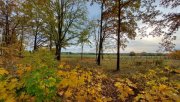 Hennickendorf Prov.-frei: Herzfelde! Unverbaubarer Blick in die Landschaft Grundstück kaufen