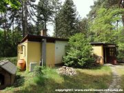 Schwielochsee Mein Ferienhaus mit Bootssteg am Kleinen Schwielochsee! Haus kaufen