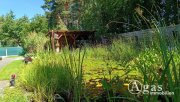 Heideblick provisionsfrei: bezugsfreies Einfamilienhaus mit Sonnen-Terrasse in ruhiger Lage von Walddrehna Haus kaufen
