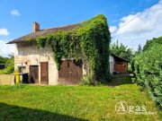 Luckau Einfamilienhaus auf großem Grundstück mit Einliegerwohnung und Garage in Ortsrandlage von Luckau Haus kaufen