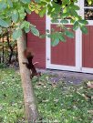 Sewekow charmantes kleines Haus am See - Ihr Rückzugsort in Ruhe und Natur Haus kaufen