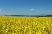 Glowe Komfortables Ferienhaus am Meer Haus kaufen