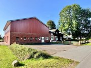 Hennstedt (Kreis Dithmarschen) Verkauf eines ehem. Bauernhauses mit 3 Wohneinheiten, Neubau-Halle und Wiese in Eidernähe Haus kaufen