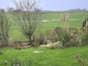 Nordstrand **Leben auf dem Engländer Deich** Haus kaufen