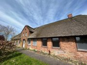 Hattstedt Bauernhaus unter gemütlichem Reetdach in Alleinlage Haus kaufen