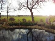 Wiefelstede Wohnen am See Haus kaufen