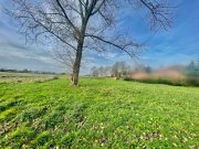 Schweindorf Tolles Baugrundstück mit freiem Blick in Felder Grundstück kaufen