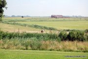 Bunde Ruhesuchende aufgepasst! Hier können Sie die Natur und Idylle genießen
* Saniertes Einfamilienhaus direkt am Wasser* Haus