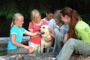 Ehrenburg DUMAXP°°°Kompaktes Familienhaus in Ehrenburg, inkl. Grundstück Haus kaufen