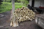 Cachoeiras de Macacu Cachoeiras de Macacu 17 ha Fazenda - BRA12Pupunia Gewerbe kaufen