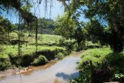 Cachoeiras de Macacu Florierenden Milchbauernhof in Traumlage in Brasilien BR101 Gewerbe kaufen