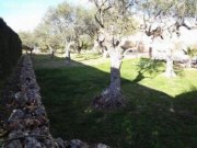 Alhaurin de la Torre Finca in perfektem Zustand Haus kaufen