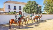 Antequera Andalusien, nahe Antequera, Finca mit Gästezimmern und Reitstall Haus kaufen