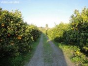 Pizarra Finca in Pizarra in einwandfreiem Zustand Haus kaufen