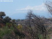 MARBELLA Grundstück mit Meerblick in Elviria Grundstück kaufen