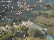 Campo Mijas Finca, modern und hervorragend ausgestattet Haus kaufen