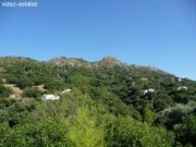 Casares Herrliche Finca Haus kaufen