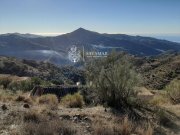 Sayalonga Renovierungsbedürftige Finca mit Meerblick Haus kaufen