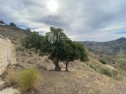 Sayalonga Renovierungsbedürftige Finca mit Meerblick Haus kaufen