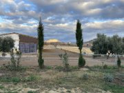 Campo de Ricote Murcia, Campo de Ricote - Designerfinca mit Pferdestall zu verkaufen Haus kaufen