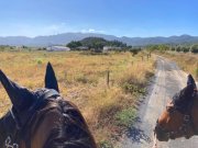 Campo de Ricote Murcia, Campo de Ricote - Designerfinca mit Pferdestall zu verkaufen Haus kaufen