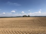 Heuchelheim Diverse landwirtschaftliche Grundstücke zu verkaufen - Liste auf Anfrage Grundstück kaufen