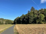 Herborn (Lahn-Dill-Kreis) Landwirtschaftliche Grundstücke rund um Herborn zu verkaufen - Auch im Paket Grundstück kaufen