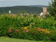 Bad Hersfeld REPRÄSENTATIVE TRAUMVILLA MIT HALLENBAD IN ALLERBESTER LAGE VON BAD HERSFELD Haus kaufen