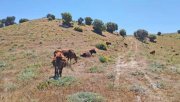 Montellano Andalusien, Provinz Sevilla, Montellano - grosse Finca, ideal für Pferde und Rinderhaltung Haus kaufen