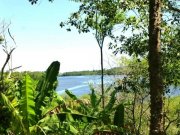 Ilhéus Bahia 75 ha Kakao Fazenda Pousada Meerblick - 13131 Gewerbe kaufen
