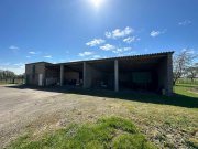 Kleve (Kreis Kleve) Charmantes Bauernhaus mit Nebengebäuden im Außenbereich von 47533 Kleve-Keeken Haus kaufen