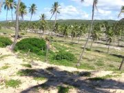 Barra do Itariri 20.000 qm am Meer für Haus oder Pousada - 12029 Grundstück kaufen