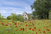 Haren (Ems) +++Verkauft+++Einfamilienhaus zum Kauf: Ihr Traumdomizil in idyllischer Lage !! Haus kaufen