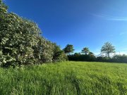 Roetgen Grundstück an der Bundesstraße in Roetgen - Gewerbe oder Wohnen möglich Grundstück kaufen