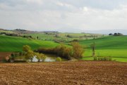 Montepulcano Country House near Lake Trasimeno Haus kaufen