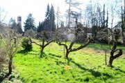 Bonn **Baugrundstück in Bad Godesberg** Grundstück kaufen