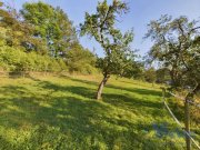 Schleiden Wunderschönes, 3707 m² großes Grundstück mit Talblick mit abrisswürdigem Gebäude in Ortsrandlage Haus kaufen