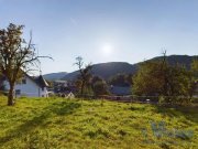 Schleiden Wunderschönes, 3707 m² großes Grundstück mit Talblick mit abrisswürdigem Gebäude in Ortsrandlage Haus kaufen