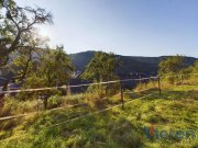 Schleiden Wunderschönes, 3707 m² großes Grundstück mit Talblick mit abrisswürdigem Gebäude in Ortsrandlage Haus kaufen